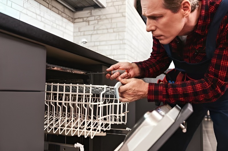 Dishwasher repair in Eucalyptus Hills